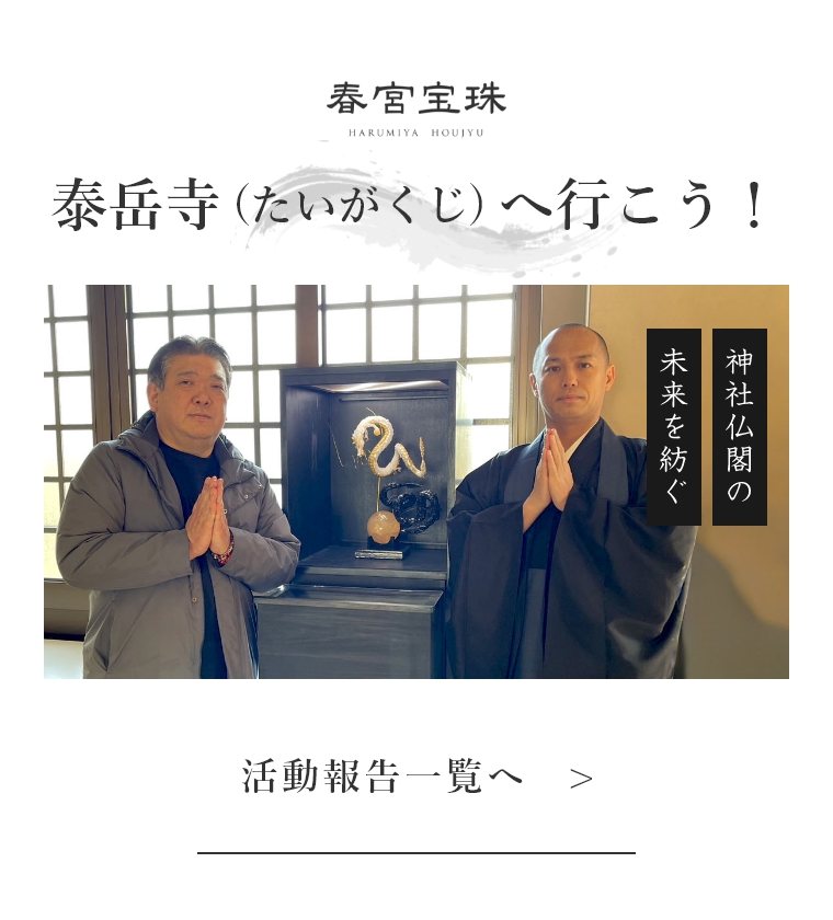 泰岳寺(たいがくじ)へ行こう！ 活動報告一覧へ
