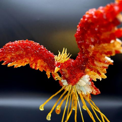 【鳳凰】再生と希望の象徴